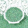 Picasso Glass Seed Beads GL-N001-01B-05-2