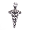 Tibetan Style Alloy Pendants TIBEP-N009-060AS-NR-2