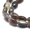 Natural Botswana Agate Beads Strands G-E576-14A-3