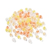 100Pcs Transparent Glass Beads GLAA-P061-01D-2
