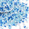 Glass Seed Beads X1-SEED-K010-03D-1
