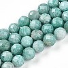 Natural Amazonite Beads Strands G-S345-10mm-25-1