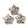 Natural Dalmatian Jasper Beads G-P469-12B-04-1