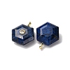 Dyed Natural Lapis Lazuli Pendants G-P588-02G-05-2