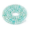 1 Strand Natural Freshwater Shell Dyed Beads Strands SHEL-TA0001-44A-1