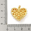 Rack Plating Brass & ABS Plastic Imitation Pearl Pendants X-KK-N255-03E-G-RS-3