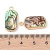 Natural Paua Shell Pendants SHEL-P017-22G-3