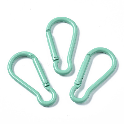 Aluminum Rock Climbing Carabiners KEYC-S255-006D-1