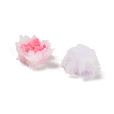Luminous Resin Decoden Cabochons RESI-K036-06F-1
