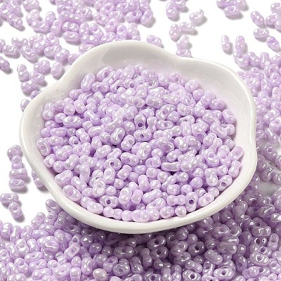 Glass Seed Beads SEED-K009-02B-06-1