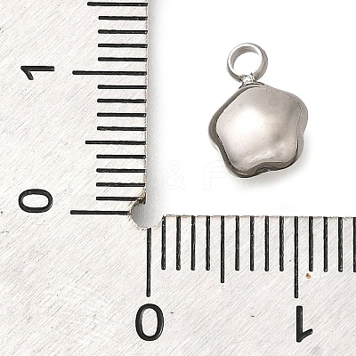 304 Stainless Steel Pendants STAS-Q346-02P-02-1