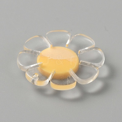Transparent Resin Pendants RESI-WH0029-46B-09-1