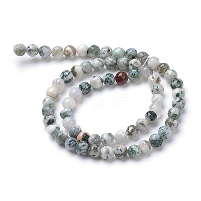 Natural Tree Agate Bead Strands G-R411-25-4mm-1