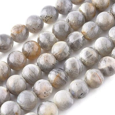 Natural Labradorite Beads Strands G-G212-8mm-23-1
