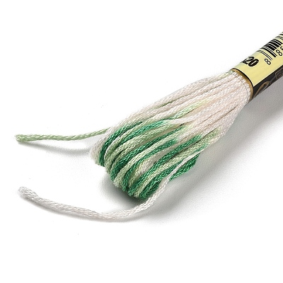 10 Skeins 6-Ply Polyester Embroidery Floss OCOR-K006-A65-1
