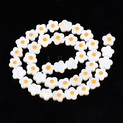 Natural Freshwater Shell Beads Strands SHEL-N003-31C-01-1