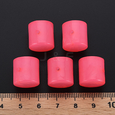Imitation Jelly Acrylic Beads MACR-S373-88-E09-1