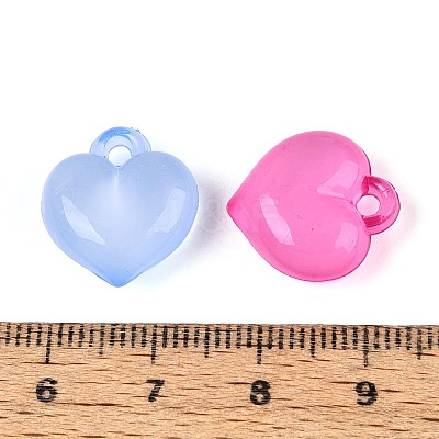 Transparent Acrylic Pendants TACR-T028-80M-1