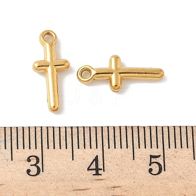 304 Stainless Steel Charms X-STAS-F320-04G-1