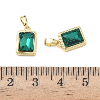 Brass Glass Charms KK-L256-20G-1