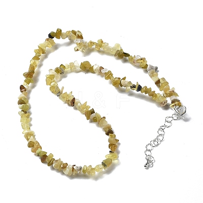 Natural Supper 7 Rutilated Quartz Chip Beaded Necklaces for Men Women NJEW-G159-01B-1