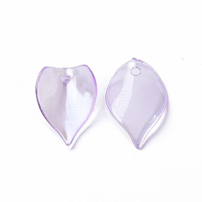 Transparent Acrylic Beads MACR-S373-103-C02-1