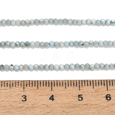Natural Larimar Beads Strands GG-CBA77FB-B04-2mm-1
