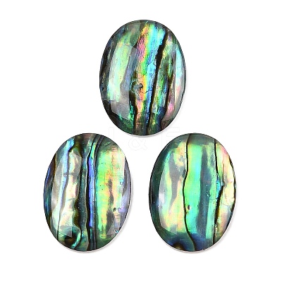 Natural Paua Shell Cabochons SSHEL-I026-20A-1