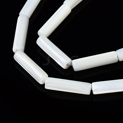 Natural Trochid Shell/Trochus Shell Beads Strands SSHEL-S266-020A-03-1