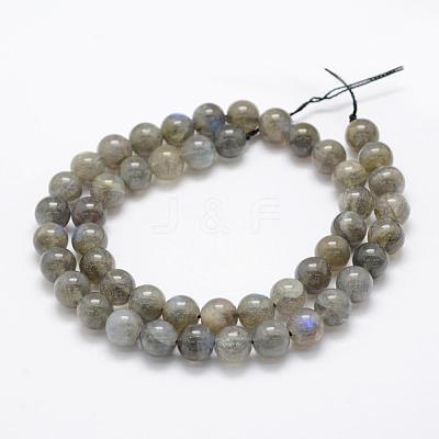 Natural Labradorite Beads Strands G-P322-31-8mm-1