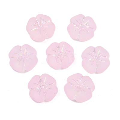 Frosted Transparent Acrylic Beads OACR-P029-19B-05-1