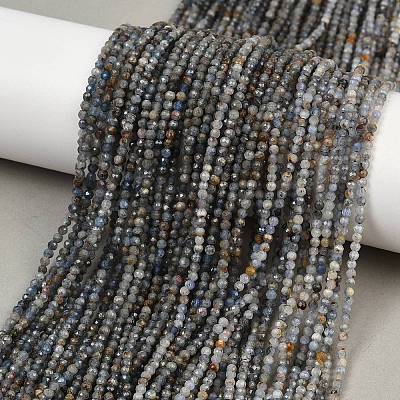 Natural Kyanite Beads Strands LS-G-RM2025-A34-2mm-1