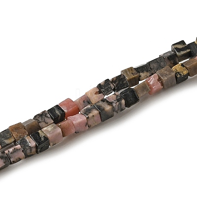 Natural Rhodonite Beads Strands G-B064-A31-1