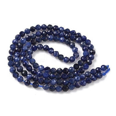 Natural Sodalite Beads Strands G-L622-C04-3mm-1