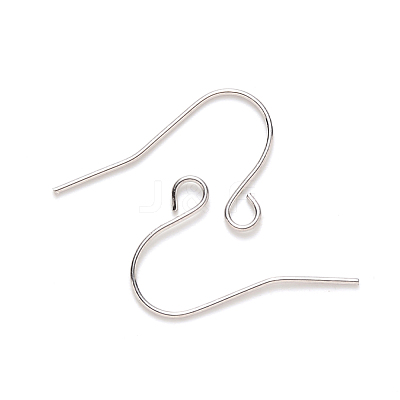 Tarnish Resistant 304 Stainless Steel Earring Hooks STAS-S111-009-1