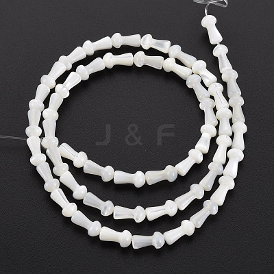 Natural Trochid Shell/Trochus Shell Beads Strands SSHEL-T014-44-1