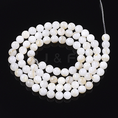 Freshwater Shell Beads Strands X-SHEL-T011-01-5mm-1