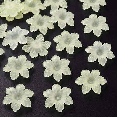 Transparent Acrylic Beads MACR-S373-117-D03-1
