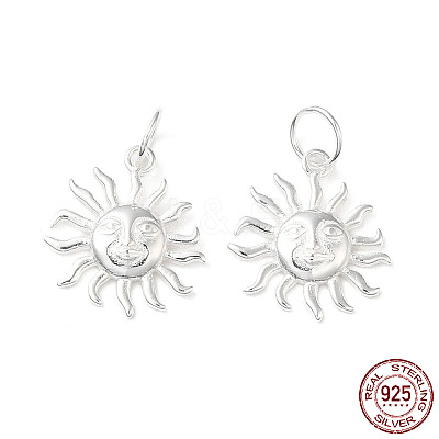 925 Sterling Silver Charms STER-NH0001-33S-1