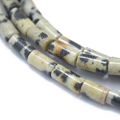 Natural Dalmatian Jasper Beads Strands G-F631-B07-1