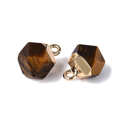 Natural Tiger Eye Pendants G-N359-18G-03-1