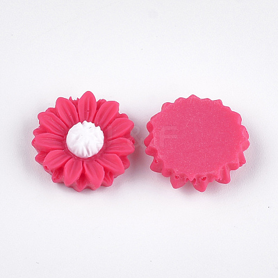 Resin Cabochons CRES-T010-60C-1