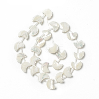 Natural Trochid Shell/Trochus Shell Beads Strands SHEL-F004-01B-1