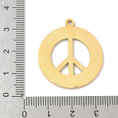 304 Stainless Steel Pendants LS-STAS-F326-07G-1