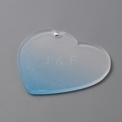 Gradient Transparent Acrylic Disc Big Pendants LS-FIND-WH0032-54A-1
