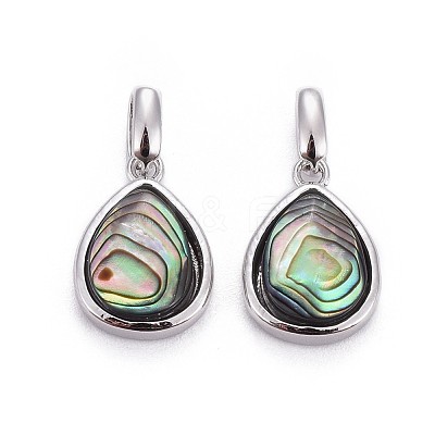 Natural Abalone Shell/Paua ShellCharms BSHE-F011-03B-P-1
