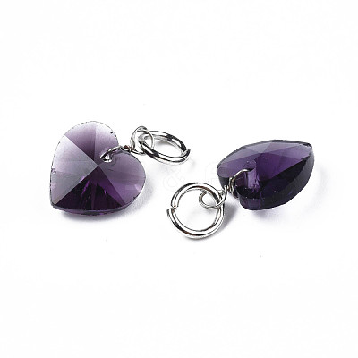Faceted Transparent Glass Charms GLAA-T024-04A-1