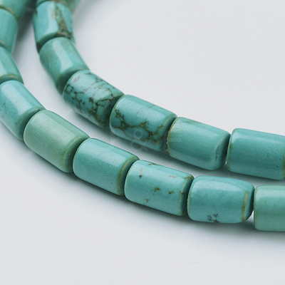 Natural Magnesite Beads Strands TURQ-K003-21D-1