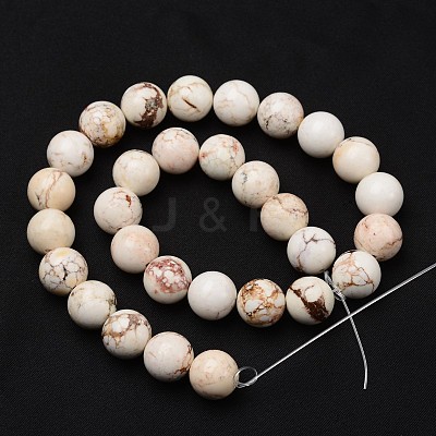 Natural Magnesite Beads Strands TURQ-P027-23-8mm-1