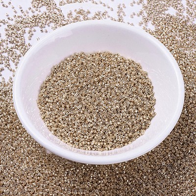 MIYUKI Delica Beads SEED-X0054-DB0411-1